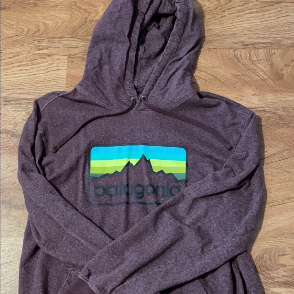 Patagonia Hooded Sweatshirt